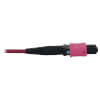 N858B-15M-3X8MG other view small image | Fiber Network Cables