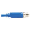 NM12-601-02M-BL other view small image | Copper Network Cables