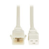 P036-E06-AWH-6 product image