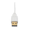 P137-06N-DVI-DL other view small image | Video Adapters