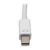 Built-in Mini DisplayPort plug connects to your Surface device.