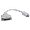 P138-000-DVI front view small image | Video Adapters