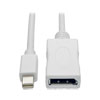 Keyspan Mini DisplayPort to DisplayPort Adapter Cable (M/F), 4K 60 Hz, DP 1.2, HDCP 2.2, 6 ft. (1.8 m) P139-006-DP-V2B