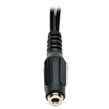P318-06N-FMM other view small image | Audio Video Adapter Cables