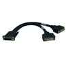 DMS-59 to Dual DVI Splitter Y Cable (M to 2x DVI-I F), 1 ft. (0.31 m) P576-001