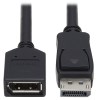 DisplayPort Extension Cable with Latch, 4K @ 60 Hz, HDCP 2.2 (M/F), 6 ft. (1.83 m) P579-006
