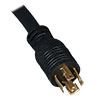 A 10 ft. cord with NEMA L21-30P plug connects the PDU to a compatible AC power source, generator or protected UPS.