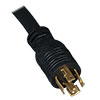10 ft. cord with NEMA L21-30P plug connects the 3-phase PDU to a compatible AC power source, generator or protected UPS.