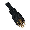 NEMA L21-30P plug with 6 ft. cord connects to compatible AC power source.<br>