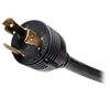 10-foot power cord with NEMA L5-30P plug connects the PDU to an AC source, generator or protected UPS.