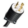 NEMA L5-30P input plug with 10 ft. AC power cord.<br>
