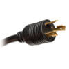 L6-30P plug with 10 ft. cord.