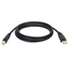 USB 2.0 A/B Cable (M/M), 10 ft. (3.05 m) U022-010-R