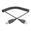 USB 2.0 A/B Coiled Cable (M/M), 10 ft. (3.05 m) U022-010-COIL