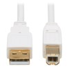U022AB-010-WH front view small image | USB Cables