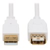 U024AB-006-WH front view small image | USB Cables