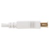 U024AB-006-WH other view small image | USB Cables
