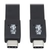 USB-C Flat Cable (M/M) - USB 3.1 Gen 2 (10 Gbps), 5A Rating, Thunderbolt 3 Compatible, Black, 16 in. (40.6 cm) U420-16N-G25AFL