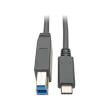 USB-C to USB Type-B Cable (M/M) - USB 3.2, Gen 1 (5 Gbps), Thunderbolt 3 Compatible, 6 ft. (1.83 m) U422-006