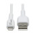 M100AB-03M-WH front view thumbnail image | Lightning Charging Cables