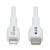 M102AB-01M-WH front view thumbnail image | Lightning Charging Cables