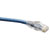 Cat6 Gigabit Solid Conductor Snagless UTP Ethernet Cable (RJ45 M/M), Blue, 175 ft. (53.34 m) N202-175-BL