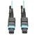 N842-05M-12-MF front view thumbnail image | Fiber Network Cables