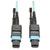 40G MTP/MPO Multimode OM3 Plenum-Rated Fiber Optic Cable (M/F), 12 Fiber, 40GBASE-SR4, Aqua, 10 m N842-10M-12-MF