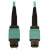 N842B-05M-12-MF front view thumbnail image | Fiber Network Cables