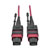 100G MTP/MPO Multimode OM4 Plenum-Rated Fiber Optic Cable (F/F), 12 Fiber, 40/100GBASE-SR4, Push/Pull Tabs, Magenta, 5 m N845-05M-12-MG