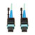 MTP/MPO Patch Cable with Push/Pull Tab Connectors, 100GBASE-SR10, CXP, 24 Fiber, 100Gb OM3 Plenum-rated - Aqua, 3M (10 ft.) N846-03M-24-P