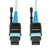 MTP/MPO Patch Cable with Push/Pull Tab Connectors, 100GBASE-SR10, CXP, 24 Fiber, 100Gb OM3 Plenum-rated - Aqua, 10M (33 ft.) N846-10M-24-P