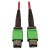 N846D-01M-16AMG front view thumbnail image | Fiber Network Cables