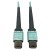 N846D-01M-24AAQ front view thumbnail image | Fiber Network Cables