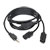 Y Splitter Power Cable, NEMA 5-15P to 2x C13 - 10A, 125V, 18 AWG, 6 ft. (1.83 m), Black P006-006-2