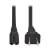 2-Slot Non-Polarized Replacement Power Cord, 1-15P to C7 - 10A, 120V, 18 AWG, 6 ft. (1.83 m), Black P012-006