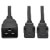 P032-002-2C13 front view thumbnail image | Power Cords and Adapters