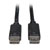 DisplayPort Cable with Latching Connectors, 4K 60 Hz (M/M), Black, 1 ft. (0.31 m) P580-001
