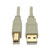 USB 2.0 A to B Cable (M/M), Beige, 6 ft. (1.83 m) U022-006-BE