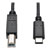 USB-C to USB-B Cable - USB 2.0, (M/M), 6 ft. (1.83 m) U040-006