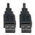 Universal Reversible USB 2.0 Cable (Reversible A to Reversible A M/M), 6 ft. (1.83 m) UR020-006